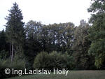 Arboretum Sola gratia, Bystřice pod Hostýnem