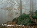 Hukvaldy 042
