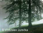 Hukvaldy 056