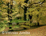 Hukvaldy 083
