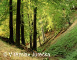 Hukvaldy 073