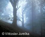 Hukvaldy 001