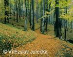 Hukvaldy 013