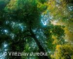 Hukvaldy 015