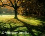 Hukvaldy 017