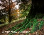 Hukvaldy 021