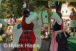 Libín - S, folklorní sdružení