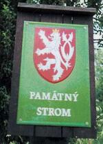 Památný strom