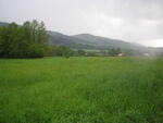 Hodslavice